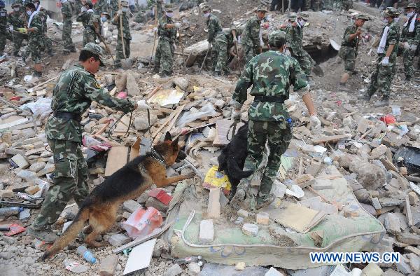 Soldiers and dogs search for indications of life on ruins of the landslides-hit Zhouqu County, Gannan Tibetan Autonomous Prefecture in northwest China&apos;s Gansu Province, Aug. 11, 2010. 