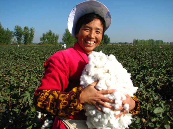 Cotton picker has a safe pair of hands