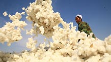Zhou Cheng airs the just-picked cotton in the sun in Mongolian Autonomous Prefecture of Bortala, northwest China's Xinjiang Uygur Autonomous Region, Sept. 16, 2010.
