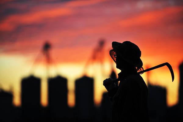 A farmer stands in a field of Farm 856 in northeast China&apos;s major rice producing province of Heilongjiang, Sept. 18, 2010.