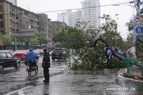 A policeman stands beside a tree branch fallen on the ground in Xiamen of southeast China's Fujian Province, Sept. 20, 2010.