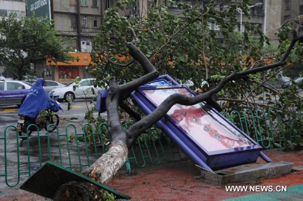 A tree and billboard are fallen down due to strong winds in Xiamen of southeast China's Fujian Province, Sept. 20, 2010. 