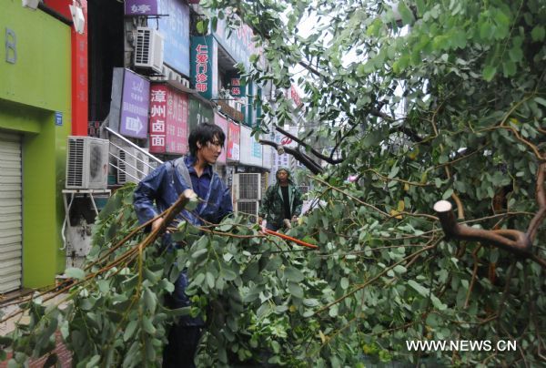  worker removes fallen tree branches in Xiamen of southeast China's Fujian Province on Sept. 20, 2010. 