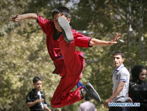 An Iranian boy performs Chinese martial arts in a park in Tehran, capital of Iran, on Sept. 24.