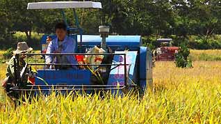 Farmers work in a field in Bailu Village of Xiangtian Township in Jing'an County, east China's Jiangxi Province, Oct. 3, 2010.