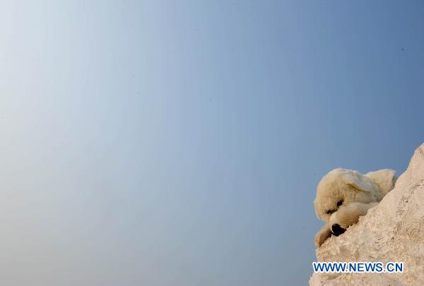 A Green Peace volunteer dressed in polar bear costumes is seen on an iceberg model on the square in front of the Tianjin Meijiang Convention and Exhibition Center, the venue of the UN Climate Change conference in north China's Tianjin Municipality, Oct. 7, 2010.