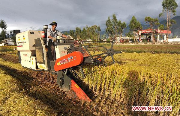 Yang Lishan smiles as he harvests in a rice field in Taoshu Village, southwest China's Yunnan Province, Oct. 13, 2010.