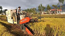 Yang Lishan smiles as he harvests in a rice field in Taoshu Village, southwest China's Yunnan Province, Oct. 13, 2010.