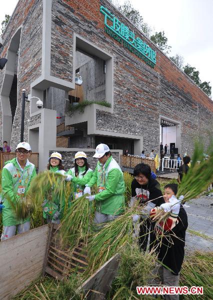 Volunteers and visitors thresh the newly harvested rice at the Ningbo Urban Best Practice Areas (UBPA) Case Pavilion in the World Expo Park in east China'a Shanghai Municipality, Oct. 25, 2010. 