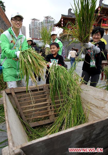Volunteers and visitors thresh the newly harvested rice at the Ningbo Urban Best Practice Areas (UBPA) Case Pavilion in the World Expo Park in east China'a Shanghai Municipality, Oct. 25, 2010.