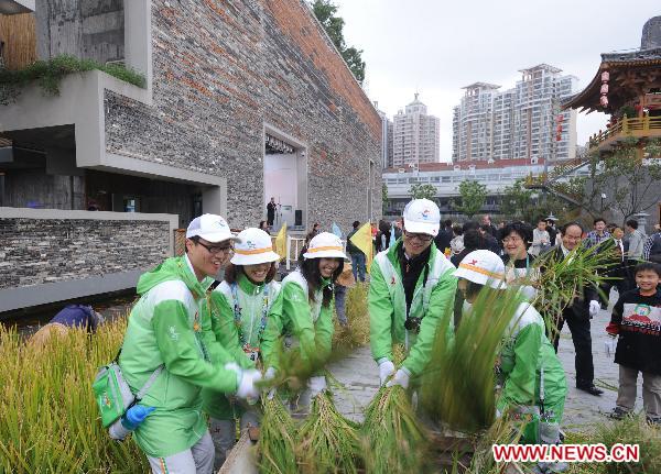 Volunteers thresh the newly harvested rice at the Ningbo Urban Best Practice Areas (UBPA) Case Pavilion in the World Expo Park in east China'a Shanghai Municipality, Oct. 25, 2010.