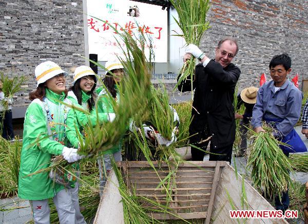 Volunteers and visitors thresh the newly harvested rice at the Ningbo Urban Best Practice Areas (UBPA) Case Pavilion in the World Expo Park in east China'a Shanghai Municipality, Oct. 25, 2010. 