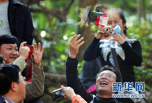 In this photo taken on December 11, 2009, a parrot was performing in a wild animal park in Xishuangbanna, the southernmost prefecture of Yunnan Province. 