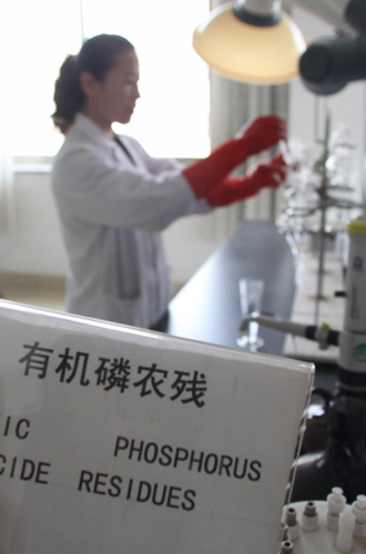 A food company staffer in Anqiu, east China's Shandong Province, tests for pesticide residue on vegetables to be transported to Guangzhou, Nov 1, 2010. 