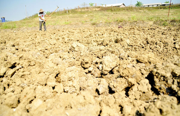 A farmer breaks up hardened soil in Naping village of Nanning, capital of south China's Guangxi Zhuang Autonomous Region, Nov 12, 2010. Guangxi has been suffering from a severe drought since late October, with an average precipitation of 1.2 millimeters, 2.7 percent less than the same period last year.