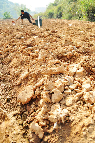 A villager waters a vegetable plot in Naping village of Nanning, the capital of south China's Guangxi Zhuang Autonomous Region, Nov 12, 2010. 