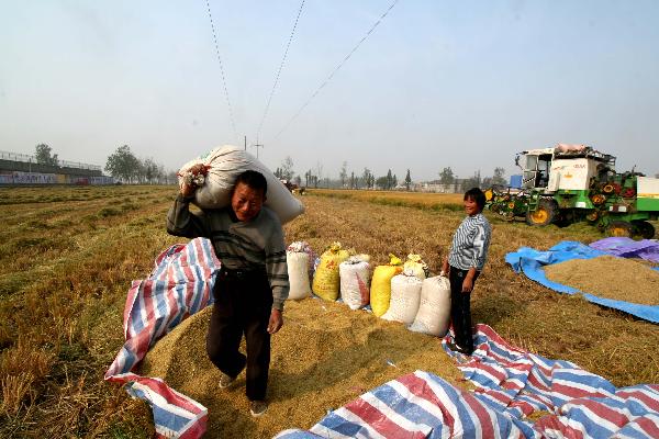 Farmers work in a paddy field in Huaiyuan County of Bengbu, east China's Anhui Province, Nov. 3, 2010.