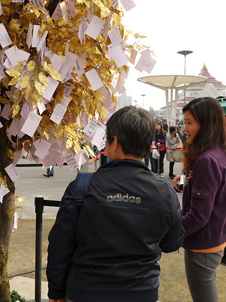 Visitors read wish cards outside the Singapore Pavilion on Sunday. 