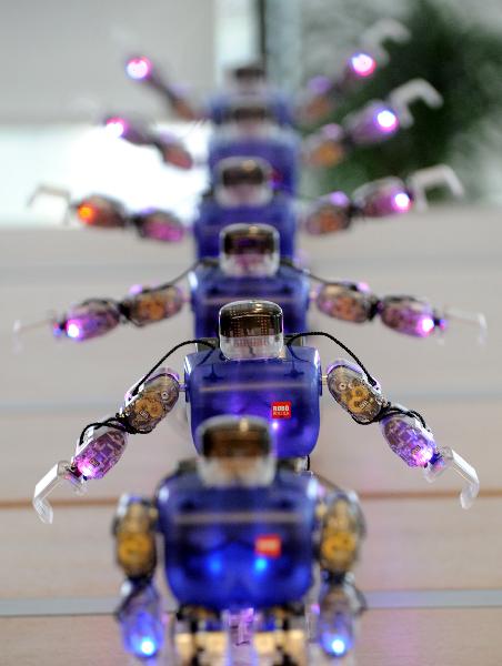 Robots dance in a contest held in Hangzhou, east China's Zhejiang Province, Nov. 18, 2010.