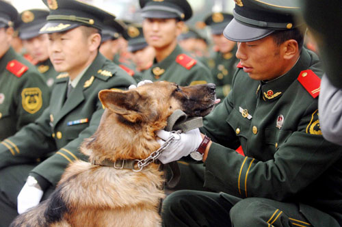A to-be-retired soldier pats his patrol dog at a farewell ceremony held at Ningxia Paramilitary Police Corps in Yinchuan, Ningxia Hui autonomous region, Nov 23, 2010. More than 160 soldiers of the corps are to be retired from military service. [Xinhua] 
