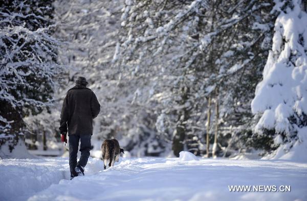 A resident and a dog walk in the snow in Geneva, Switzerland, Dec. 2, 2010. 