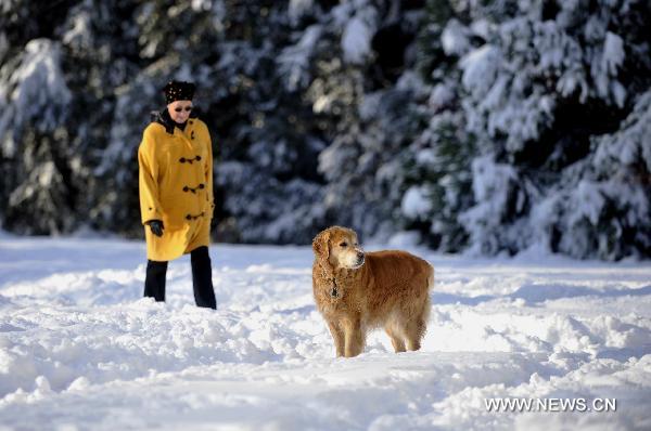 A resident and a dog walk in the snow in Geneva, Switzerland, Dec. 2, 2010.