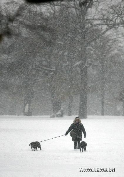 A woman walks her dogs in southern London, Britain, Dec. 2, 2010.