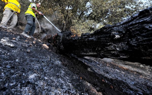 A burnt field is seen near Isfiya, on Mount Carmel, near Haifa, north Israel, Dec. 5, 2010. After more than three days' arduous battle, Israeli firefighting authority announced Sunday afternoon that it had fully contained the inferno, according to local news service Ynet. [Xinhua]
