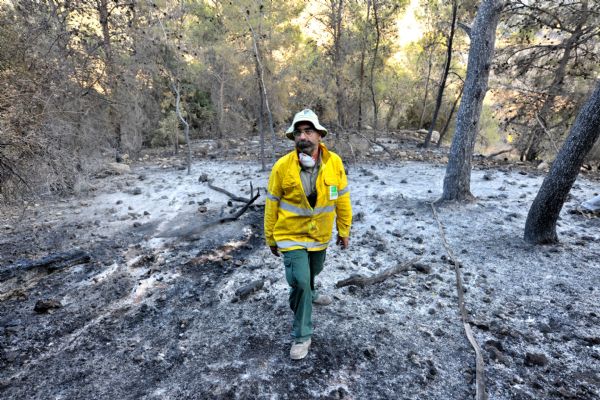 A firefighter stands on the burnt ground near Isfiya, on Mount Carmel, near Haifa, north Israel, Dec. 5, 2010. After more than three days&apos; arduous battle, Israeli firefighting authority announced Sunday afternoon that it had fully contained the inferno, according to local news service Ynet. [Xinhua]