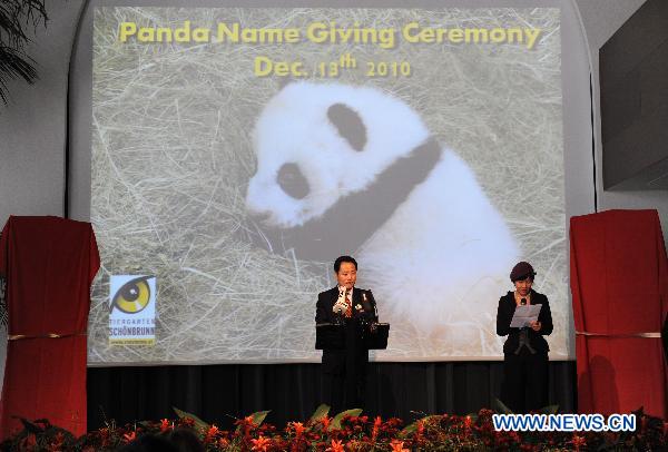 Zang Chunlin, Secretary of the China Wildlife Conservation Association (CWCA), speaks during a panda name-giving ceremony held in Zoo Vienna in Vienna, capital of Austria, Dec. 13, 2010. 