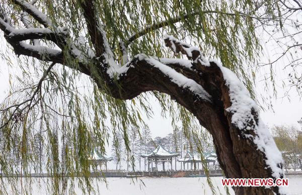 Photo taken on Dec. 15, 2010 shows snow scenery at Donghu Park in Wuhan, capital of central China's Hubei Province. 