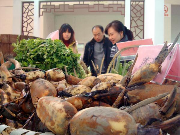 Photo taken on Dec. 17, 2010 shows visitors checking lotus roots at the Ninth Suzhou Agricultural Fair that opened on Friday in Suzhou, east China&apos;s Jiangsu Province. The four-day-long fair has attracted over 400 companies bringing more than 800 kinds of agricultural products on show. [Xinhua]