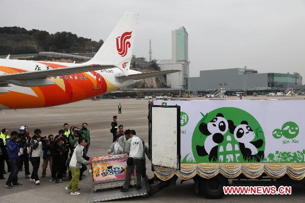 Panda 'Kai Kai' is transferred to a truck at the airport in Macao, south China, Dec. 18, 2010.