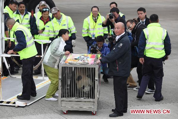 Panda 'Xin Xin' arrives at the airport in Macao, south China, Dec. 18, 2010. 