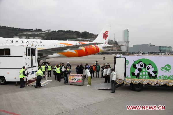 Panda 'Kai Kai' is transferred to a truck at the airport in Macao, south China, Dec. 18, 2010. 