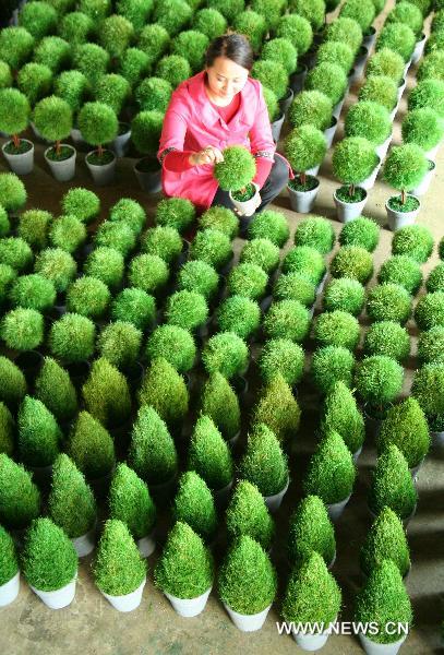 A woman checks the Christmas trees made from grass in Linyi of east China's Shandong Province, Dec. 18, 2010. 