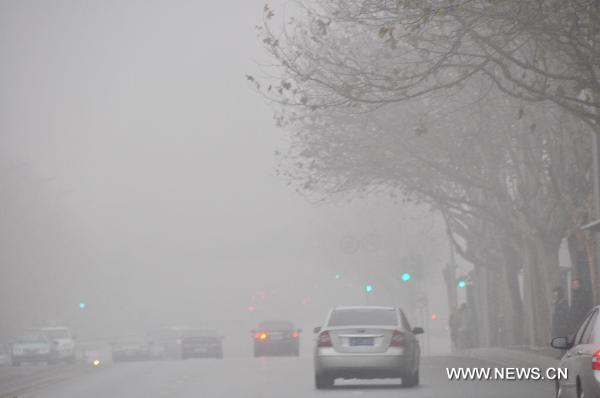 Cars travel on the road in fog-shrouded Dalian, northeast China's Liaoning Province, Dec. 22, 2010. 