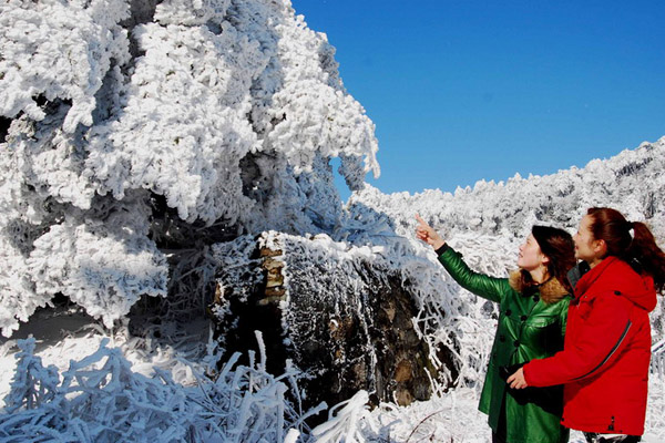Tourists admire the beautiful rime scenery on Lushan Mountain in Jiangxi Province. The scenic area, which attracts huge numbers of tourists from China and abroad, plans to offer a month-long period of free admission in January (the normal ticket price is 135 Yuan). 