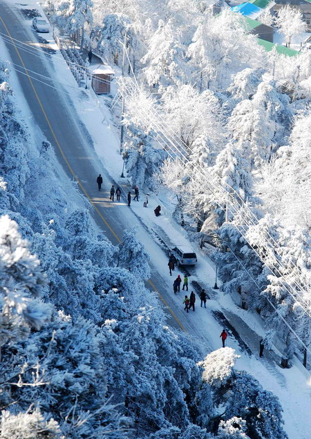 Beautiful rime scenery surrounds Guling Street at Lushan Mountain in Jiangxi Province. The scenic area, which attracts huge numbers of tourists from China and abroad, plans to offer a month-long period of free admission in January (the normal ticket price is 135 Yuan). 