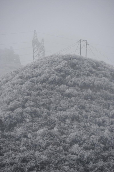 A communication station is covered by heavy snow in Kaiyang County, southwest China&apos;s Guizhou Province, Jan 4, 2011.