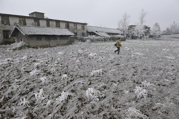A man walks on ice-covered farmland in Kaiyang County, southwest China&apos;s Guizhou Province, Jan 4, 2011.