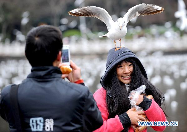 A woman poses for a photo while a black-headed gull stands on her head in Cuihu park in Kunming, capital of southwest China's Yunnan Province, Jan. 11, 2011. 