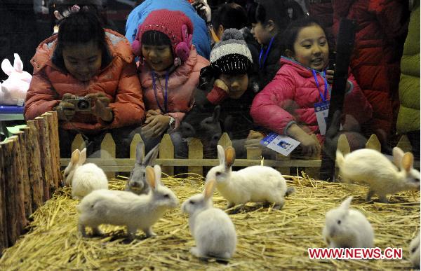 Pupils view rabbits at the provincial museum in Harbin, capital of northeast China's Heilongjiang Province, Jan. 13, 2011.