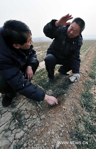 Li Chuanhai, an official with Duandian village, inspects the dried field in Jinan, capital of east China's Shandong Province, Jan. 18, 2011.