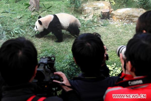 People take photos of panda &apos;Xin Xin&apos; at the newly-launched panda pavilion in the Macao Special Administrative Region, south China, Jan. 18, 2011.