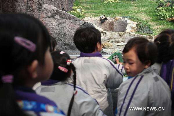 Pupils watch Panda Xinxin in Macao, south China, on Jan.19, 2011.