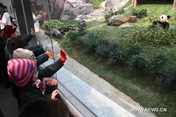 Pupils watch Panda in Macao, south China, on Jan.19, 2011. 