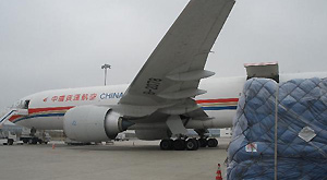 Relief goods offered by Chinese government to quake-hit Japan are ready for loading in Shanghai Pudong International Airport in Shanghai, east China, March 14, 2011.