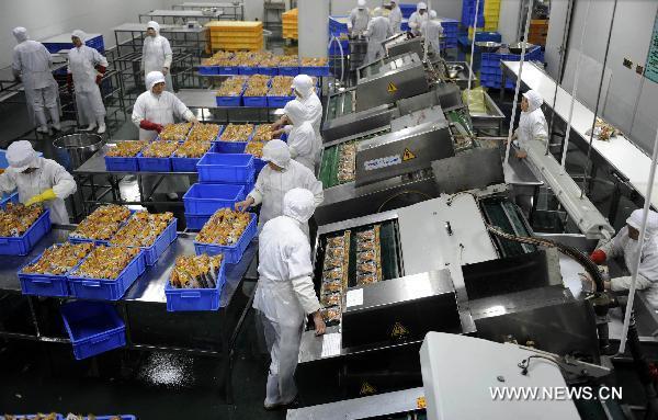 Labours work at a bamboo shoot factory in Quzhou of east China&apos;s Zhejiang Province, March 20, 2011.