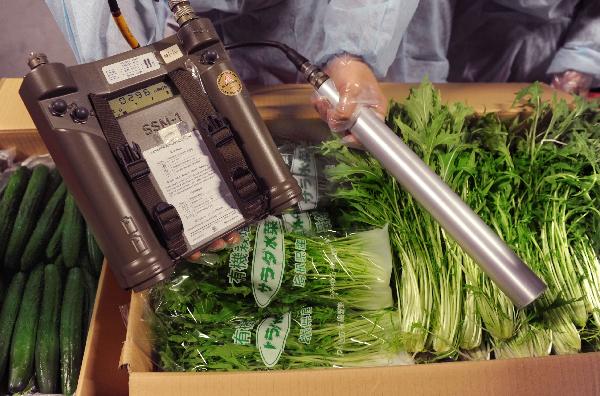 A staff member detects vegetables imported from Japan with SSM-1 radiation meter, in Hong Kong, south China, April 8, 2011. 